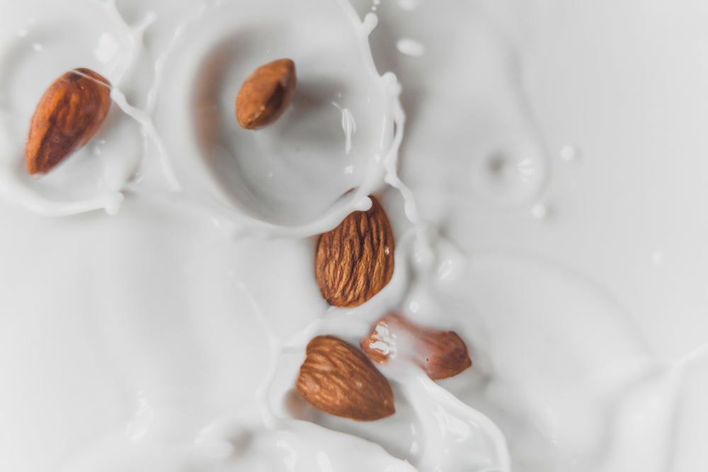 The Best Plant-Based Milks
